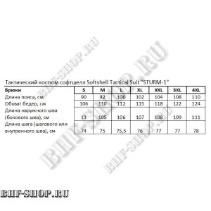 Брюки Tactical Pants STURM-1 Мультикам
